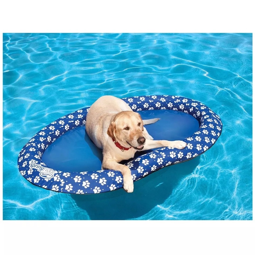 Swimways Spring Pool Float For Dogs - Large (65 lbs and Up) - Picture 4 of 7
